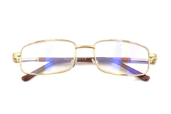 Glasses with COMPUTER PROTECTION - OCV56